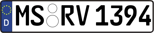 MS-RV1394
