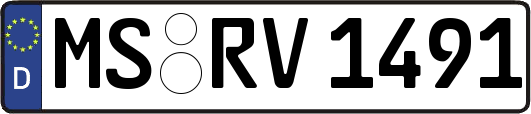MS-RV1491