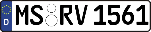 MS-RV1561