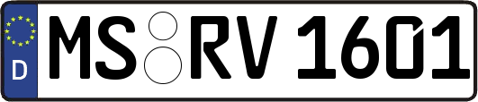 MS-RV1601