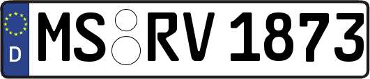 MS-RV1873