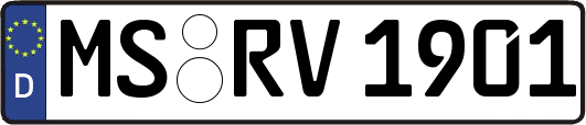 MS-RV1901