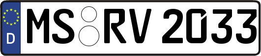 MS-RV2033
