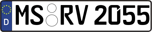 MS-RV2055