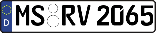 MS-RV2065