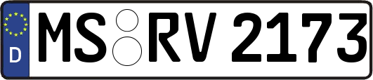MS-RV2173