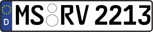MS-RV2213