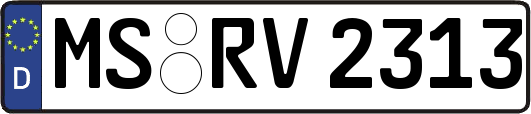MS-RV2313