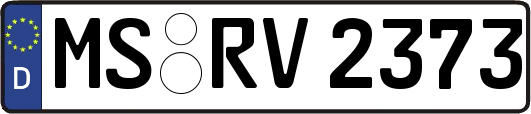 MS-RV2373