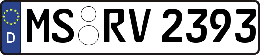 MS-RV2393