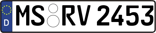 MS-RV2453