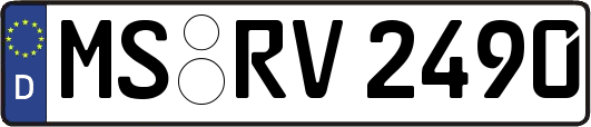MS-RV2490