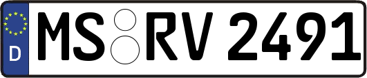 MS-RV2491