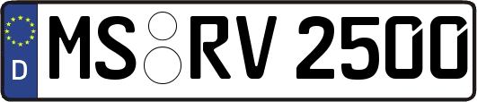 MS-RV2500