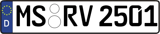 MS-RV2501