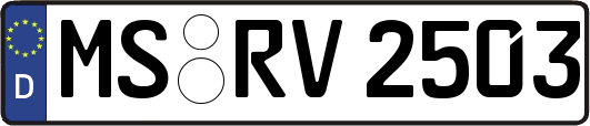 MS-RV2503