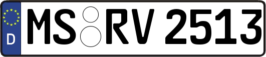 MS-RV2513