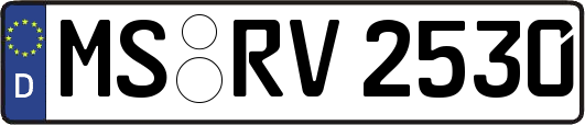 MS-RV2530