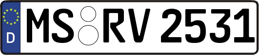 MS-RV2531