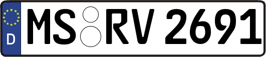 MS-RV2691