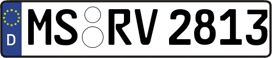 MS-RV2813