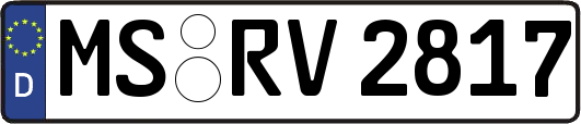 MS-RV2817