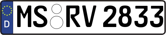 MS-RV2833