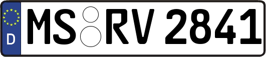 MS-RV2841