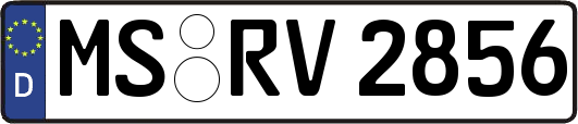 MS-RV2856
