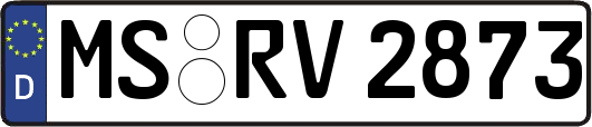 MS-RV2873