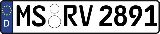 MS-RV2891