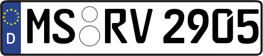 MS-RV2905