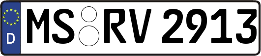 MS-RV2913