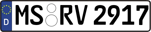 MS-RV2917