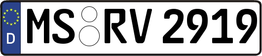 MS-RV2919