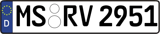 MS-RV2951