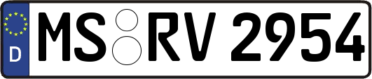 MS-RV2954