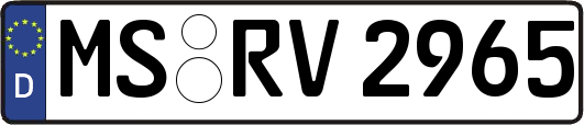 MS-RV2965