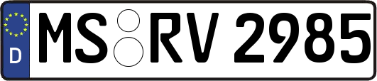 MS-RV2985