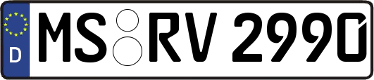 MS-RV2990