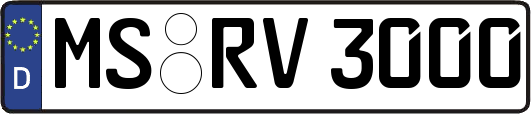 MS-RV3000