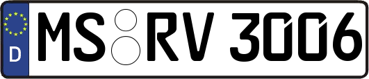 MS-RV3006