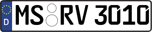 MS-RV3010