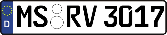 MS-RV3017