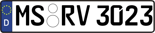 MS-RV3023