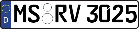 MS-RV3025