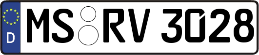 MS-RV3028