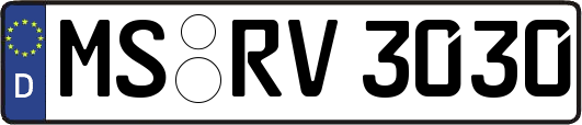 MS-RV3030