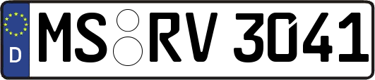 MS-RV3041