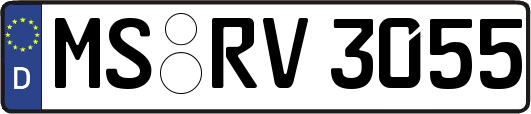 MS-RV3055